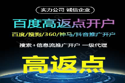 SEM代理操作技巧：成功案例揭秘